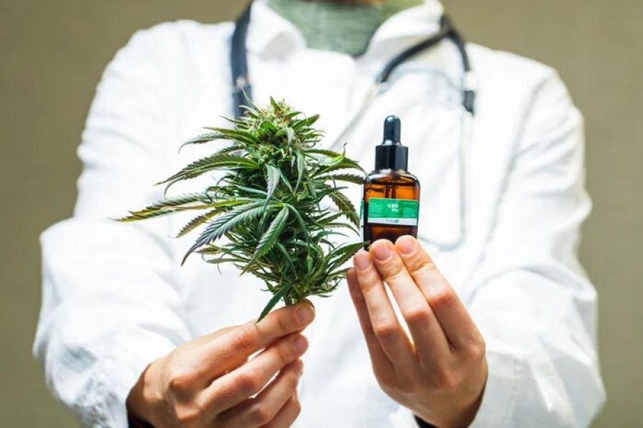 Avanço no Tratamento: Pacientes terão acesso facilitado a fitofármacos à base de Cannabis; novas normas valem em seis meses